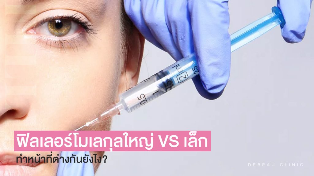 ฟิลเลอร์โมเลกุลใหญ่ VS เล็ก ทำหน้าที่ต่างกันยังไง ?